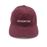Accountant Dad Hat