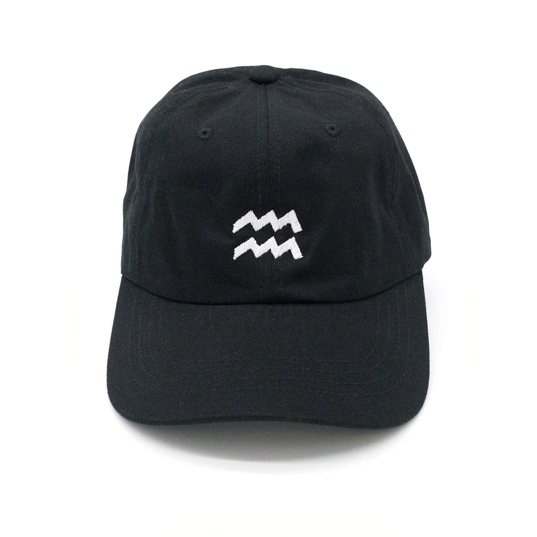 Aquarius Dad Hat